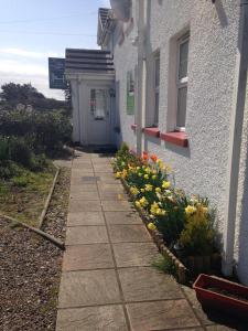 Finn McCools Giants Causeway Hostel (Bushmills)