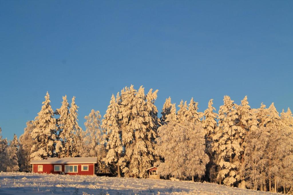 Maatilamatkailu Jänisvaara