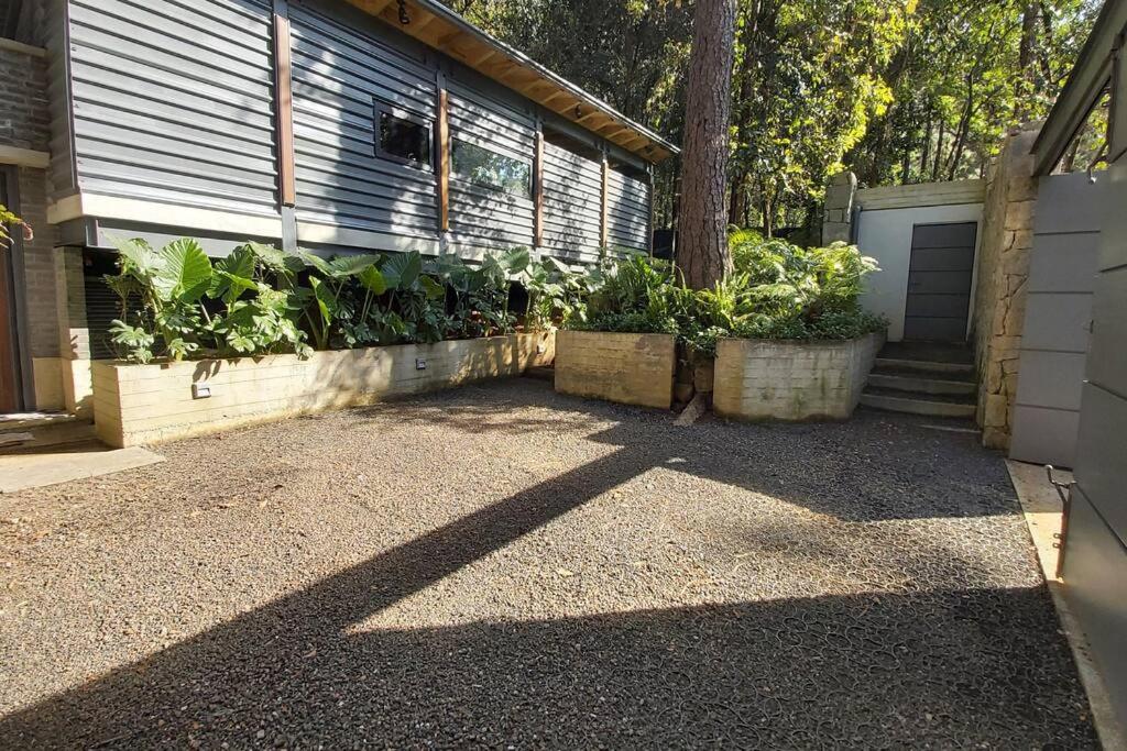 Casa William en el bosque