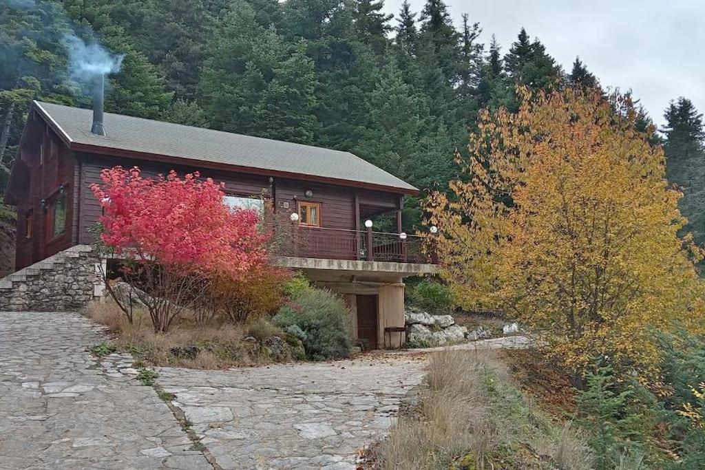 Rados chalet