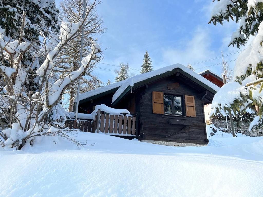 Entire cozy chalet in St-Cergue - 30 min from Geneva