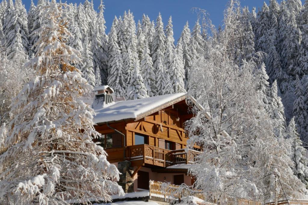 Les Saisies coté Légette appartement dans chalet