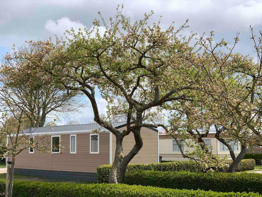 Gezellig chalet in het mooie Zeeland - Oostkapelle