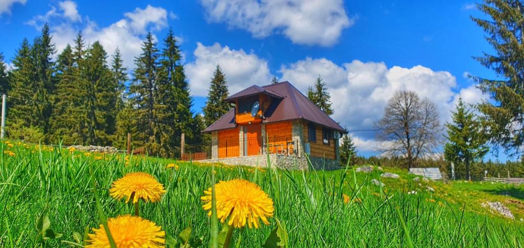 Apartmani Nišićka Oaza