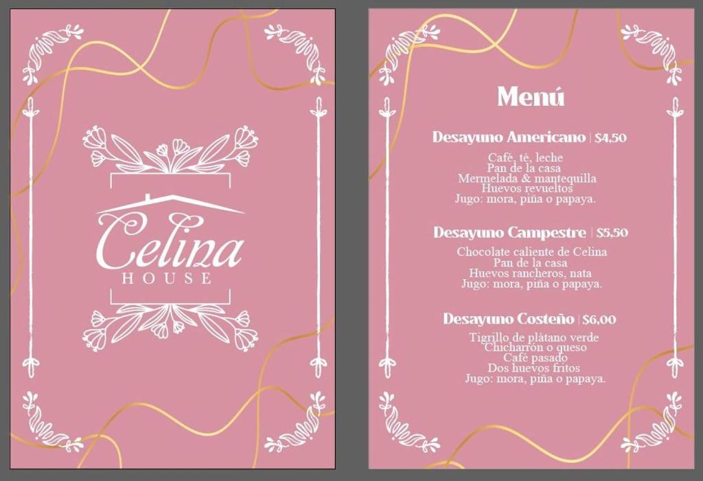 Tiny Celina House