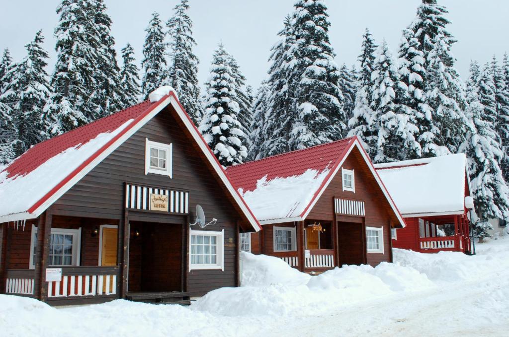 Alpine ski chalet Borovets with sauna
