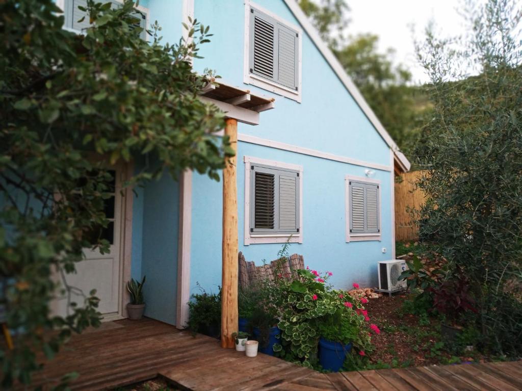 Blue House In The Woods- Amirim