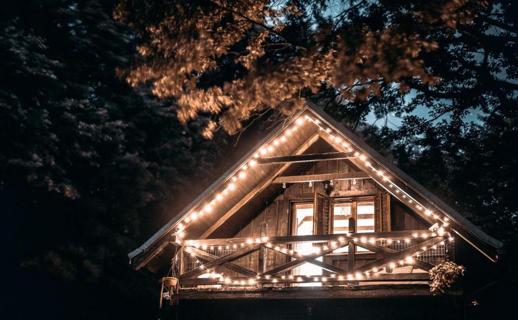 Rent a Forest, Cabin Hidden in the Fruška gora