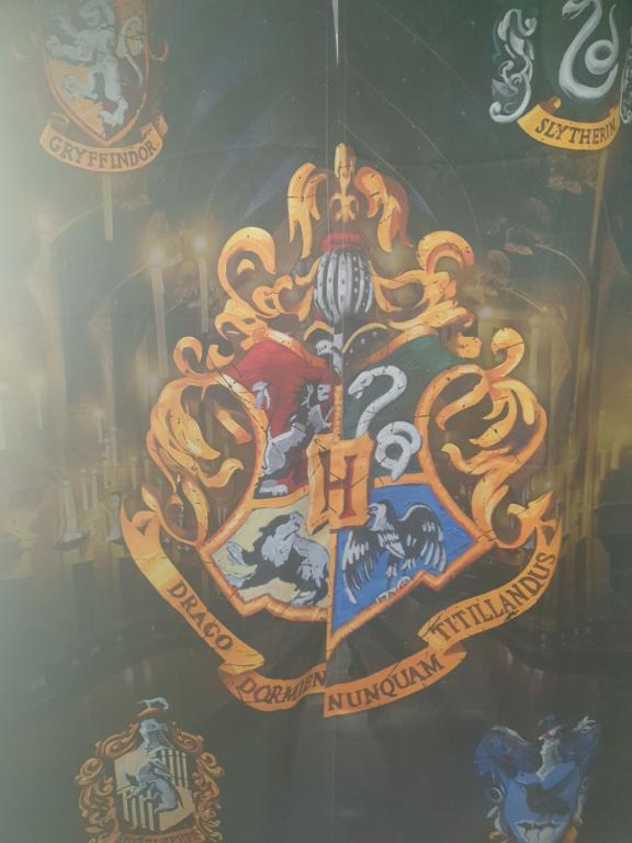 Harry Potter theme Double room in shared house