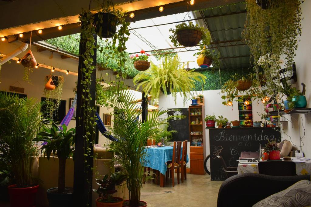La Casa de Chavela