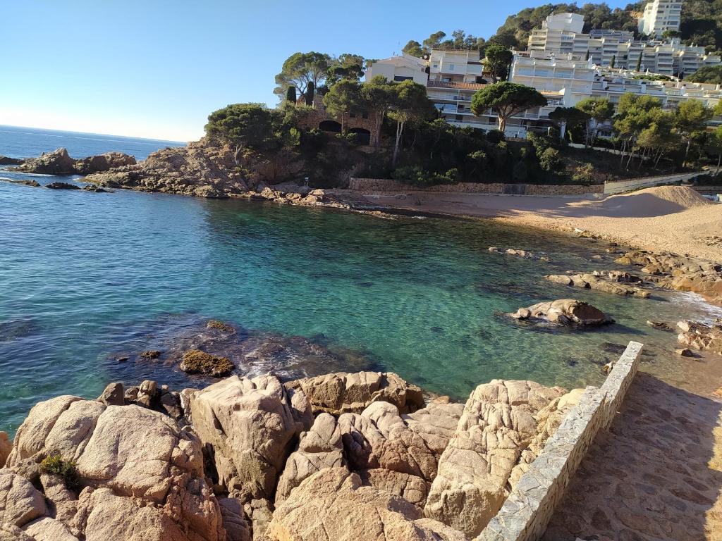 Cala Salions, Chalana III