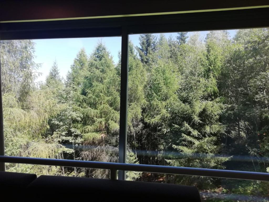 FINESTRA SUL BOSCO - MONOLOCALE MARILLEVA 1400
