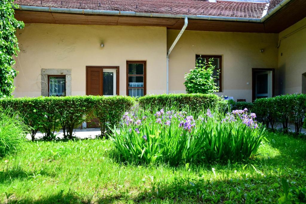 Afrodité Apartmanok