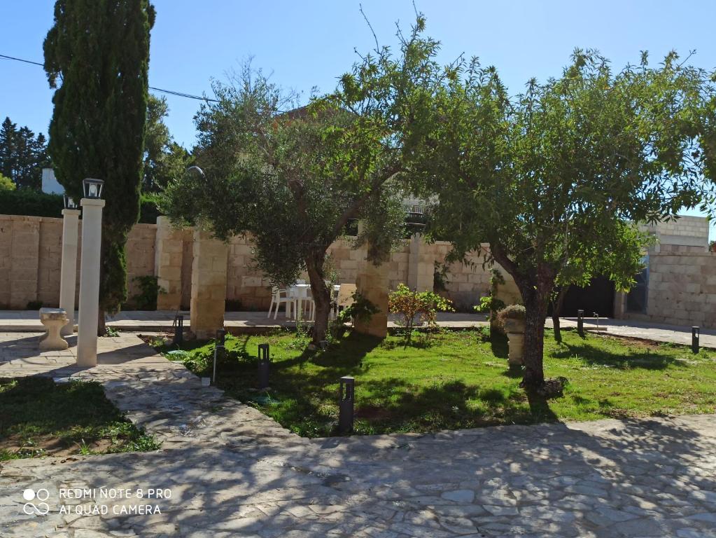 Petrarussa Superior di Porto Cesareo