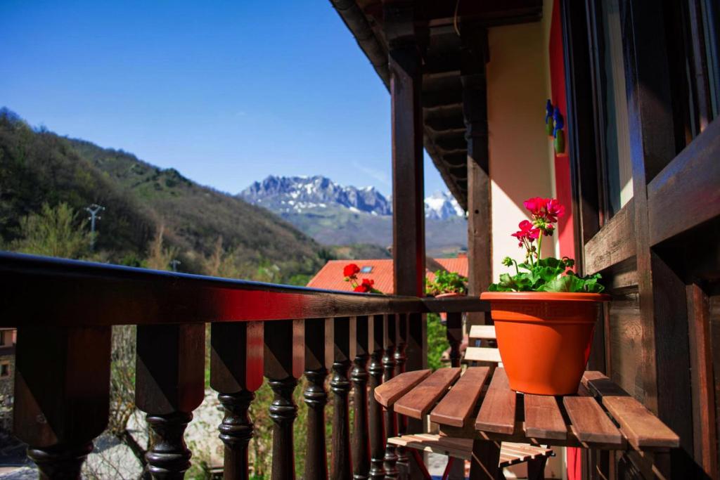 Apartamentos Río Cubo