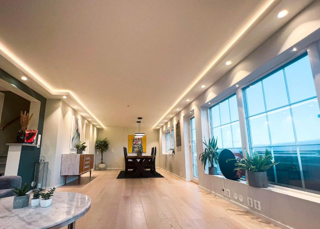 Penthouse apartment with amazing view.