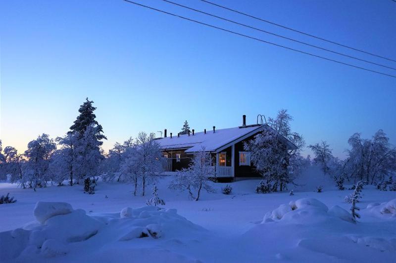 Twin Peaks Urupää A Saariselkä