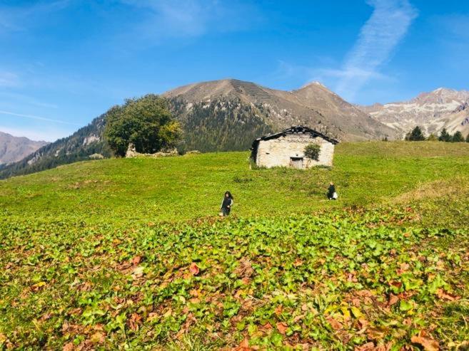 casa della neve