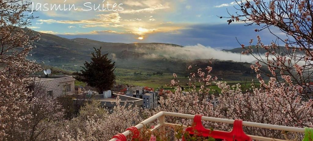 Jasmin Suites