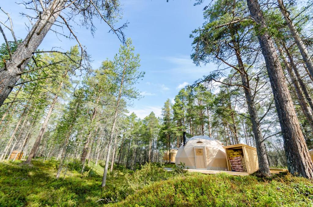 GLØD Aurora Canvas Dome
