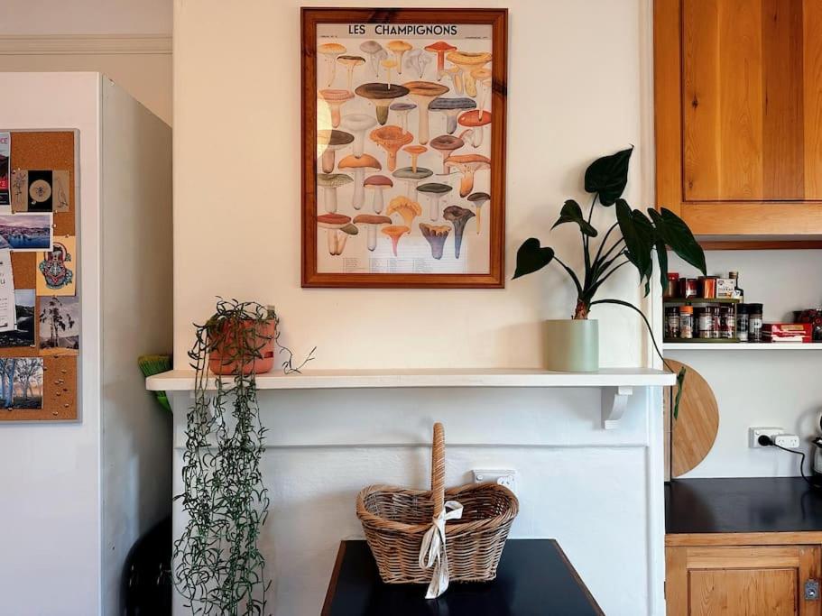 Enchanting Vintage House at South Hobart