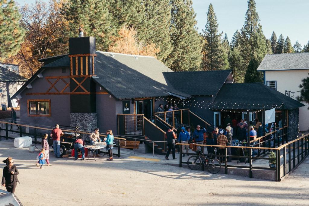 LOGE Mt. Shasta