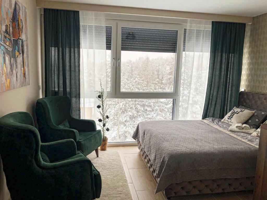 Apartman Ambijent Divcibare