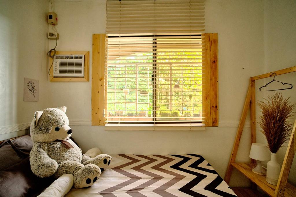 Pallet Homes - Landheights