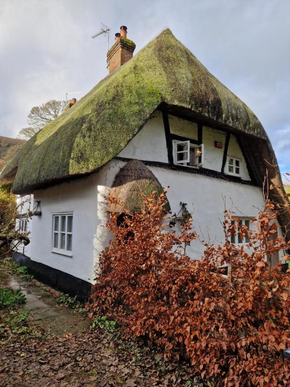 Delightful 3bed thatched Cottage