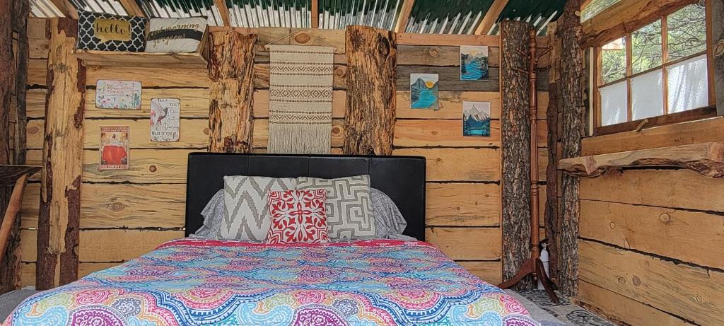 Hummingbird hideaway