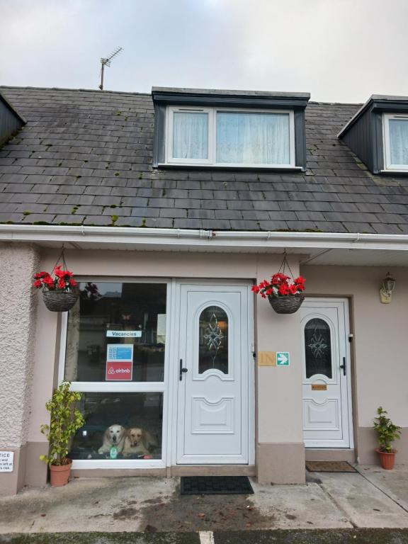Airbnb Guesthouse