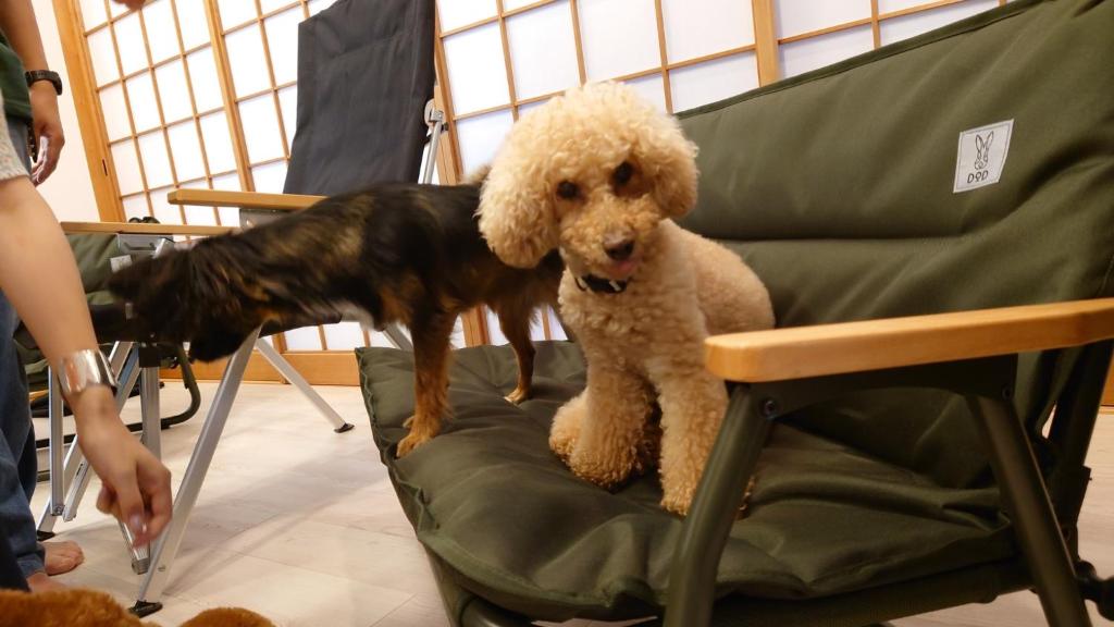 Yokombo 2 Pet friendly inn - Vacation STAY 22296v