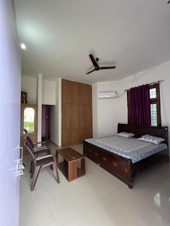 Travel curiosity Homestay