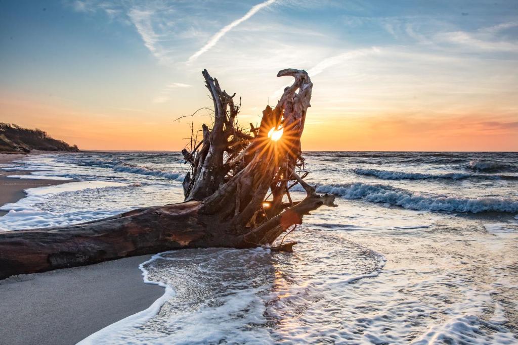 FeWo "Zingst"