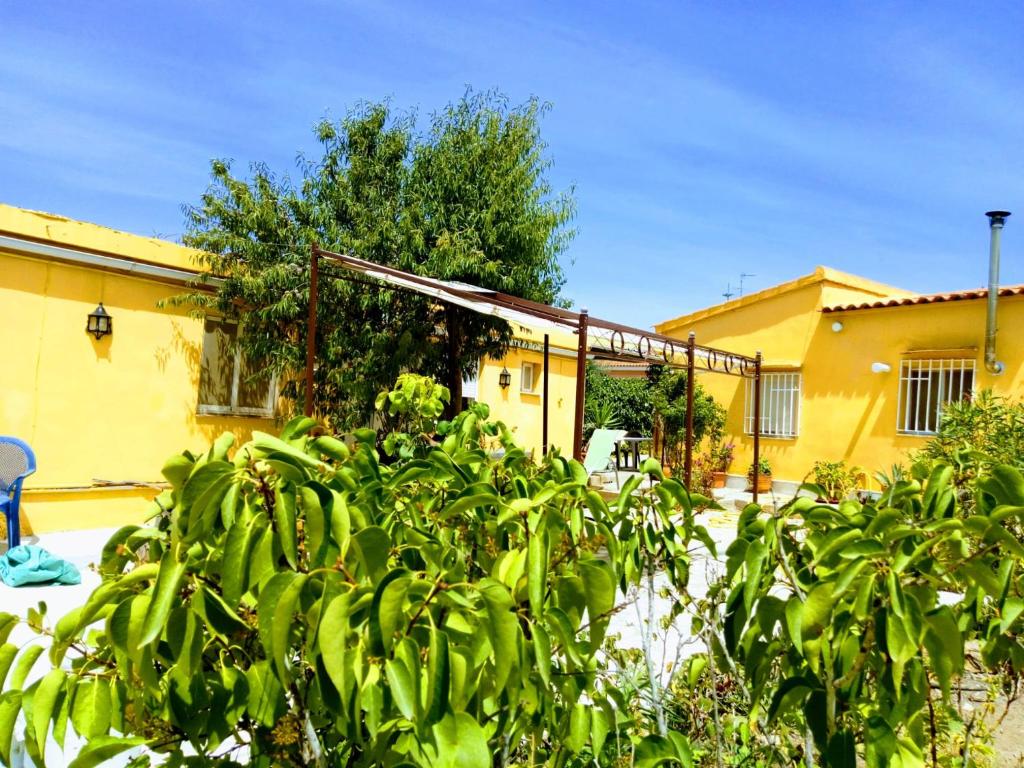 2 cosy holidayhomes near Valencia