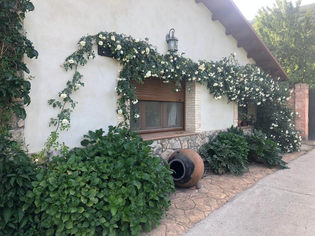 casa rural La picotina