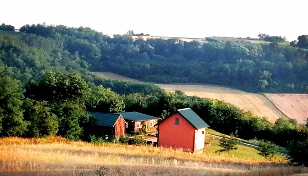 Sunny Side Fruska Gora- Studio A