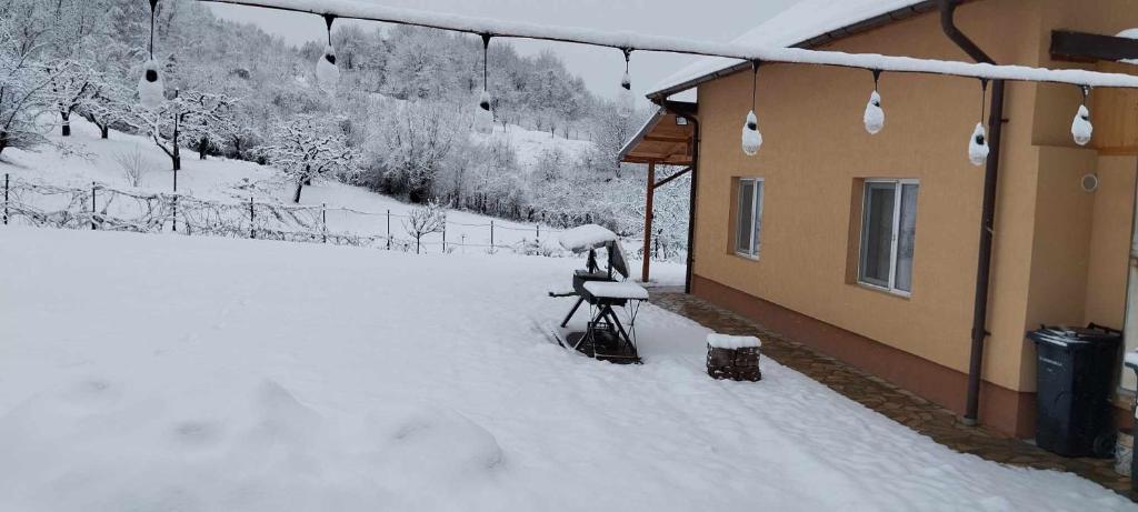 Casă de vacanța !!!