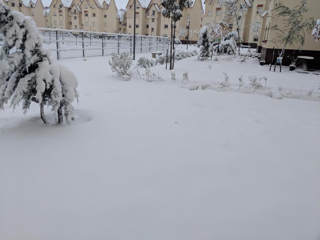 Bel appartement à Ifrane