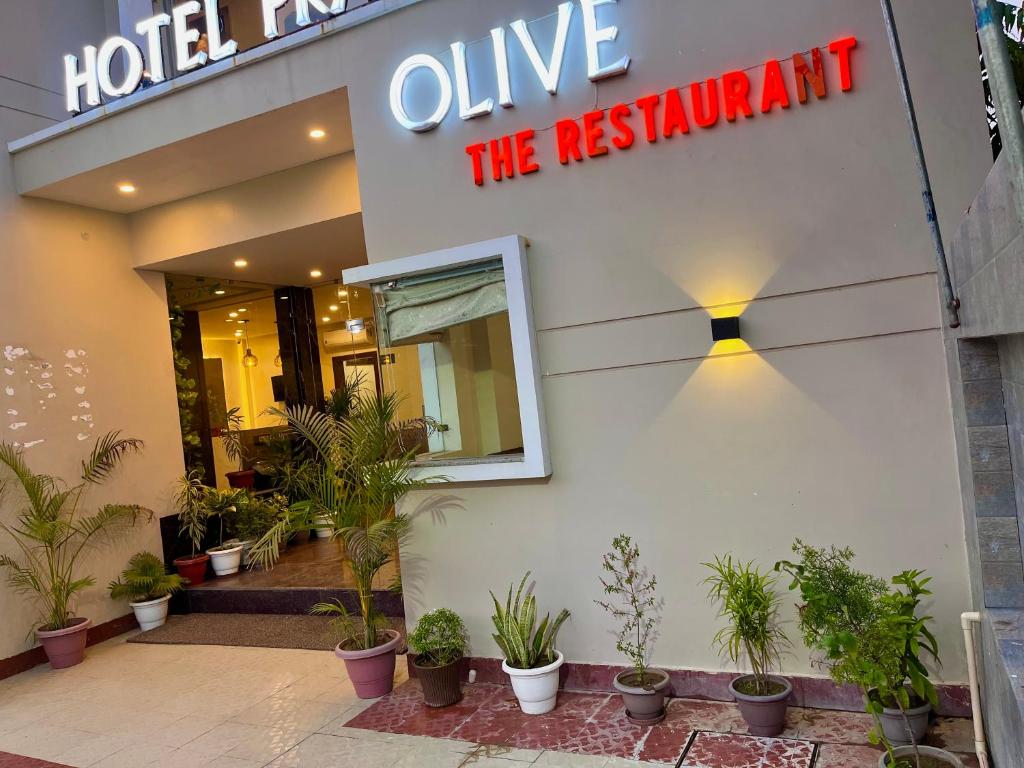 Hotel Olive Pure veg, Haridwar