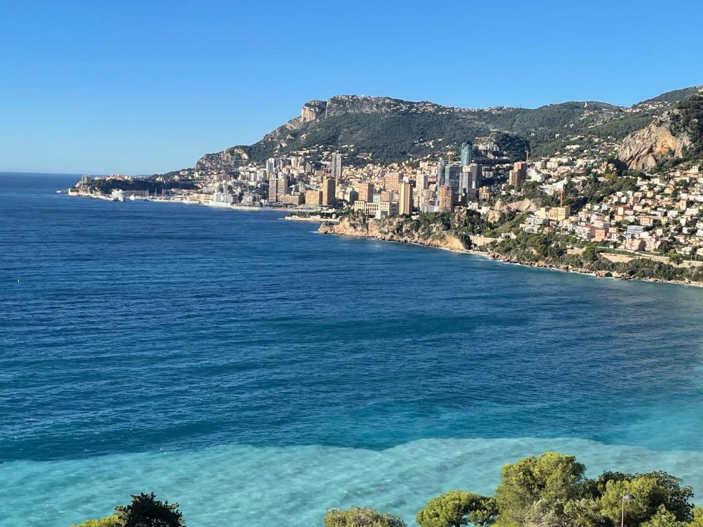 Aux portes de Monaco superbe T3 vue mer