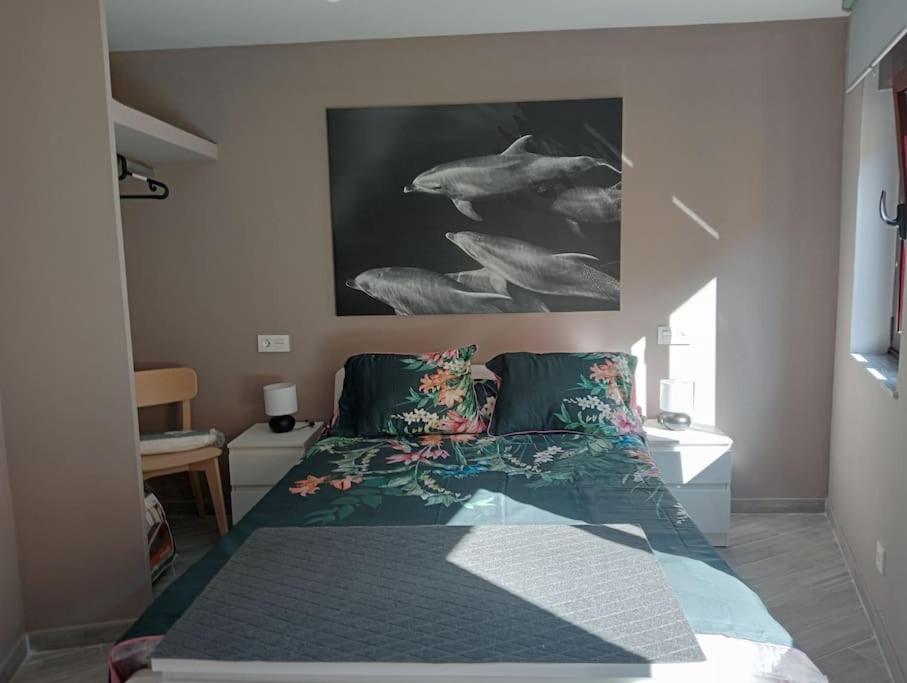 Apartamento Pipo