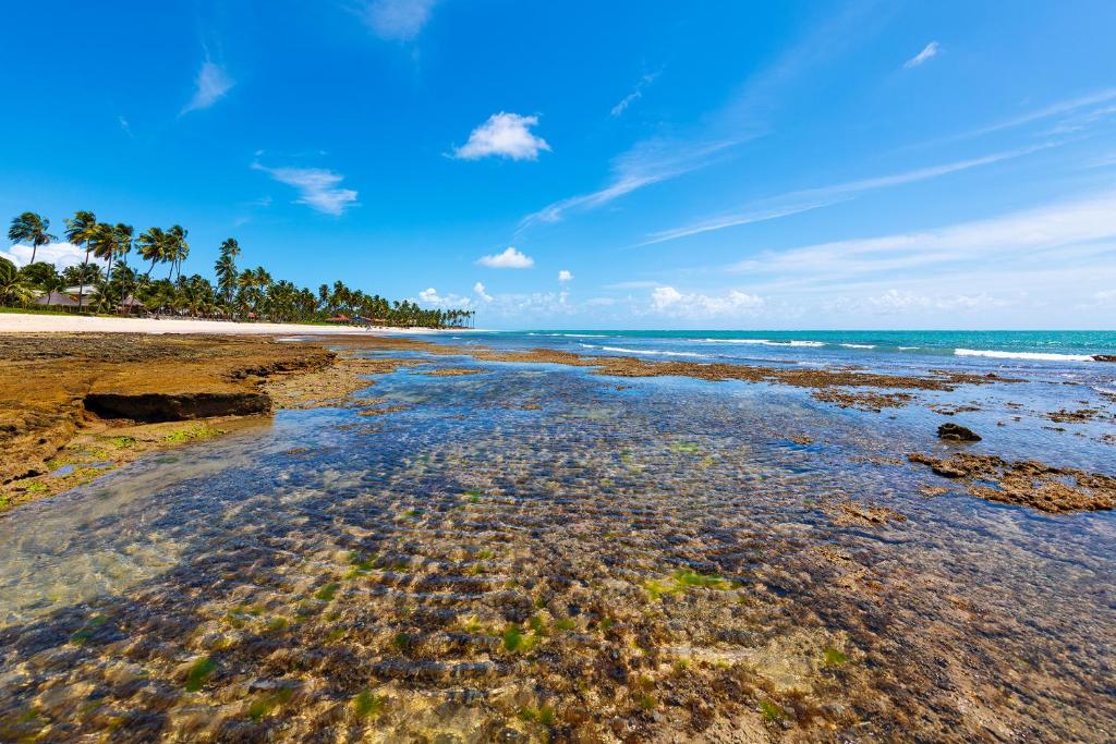 Sítio Praia dos Carneiros