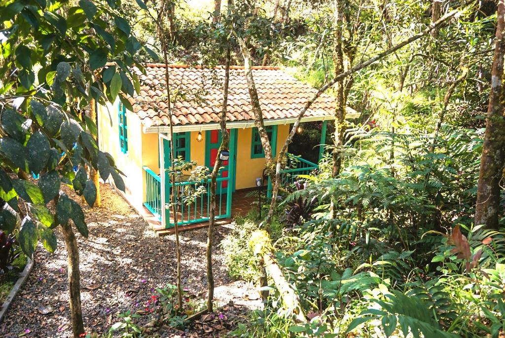 ENCANTO Minicasitas en medio de la naturaleza
