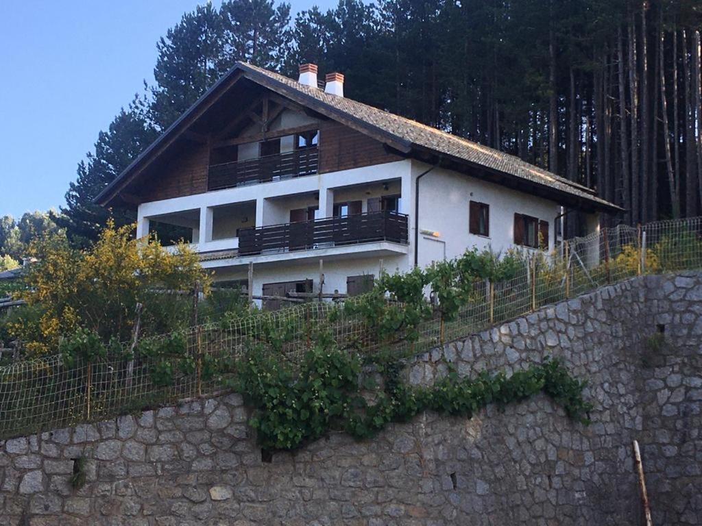 Tra il bosco e il lago