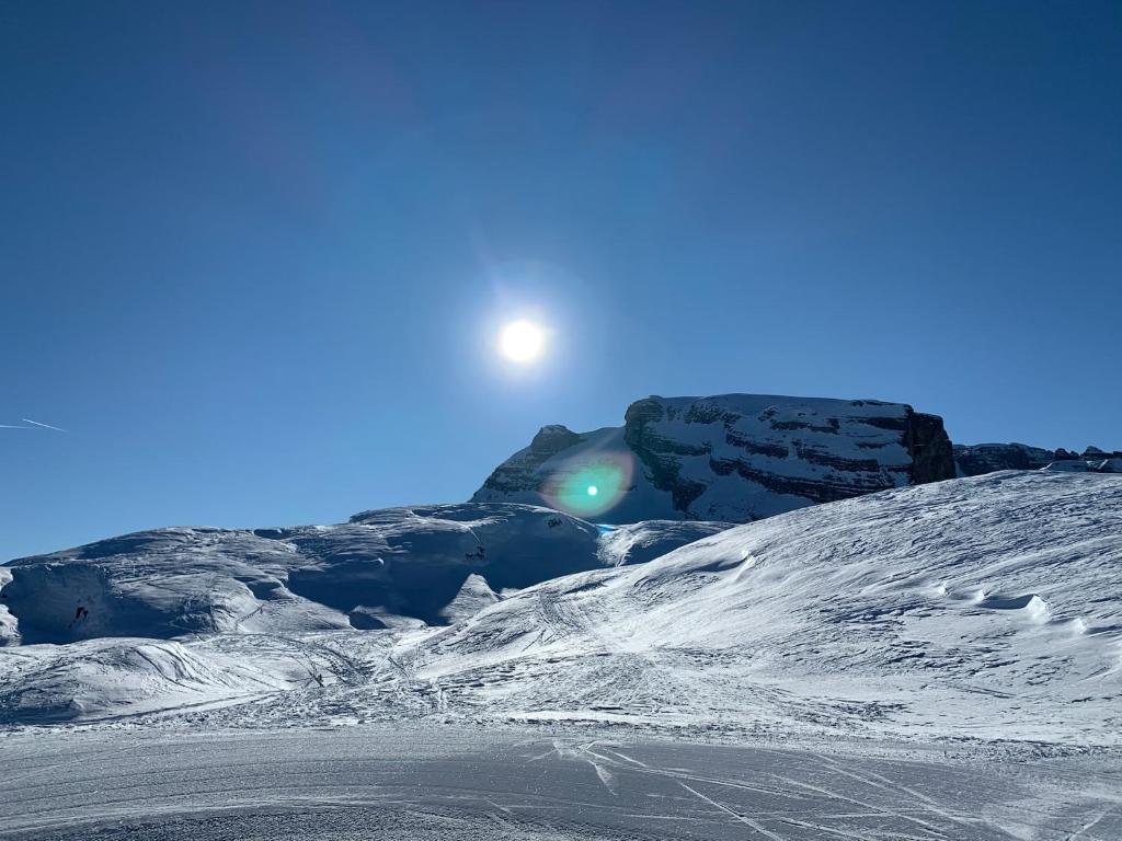 Des Alpes C Flat 11