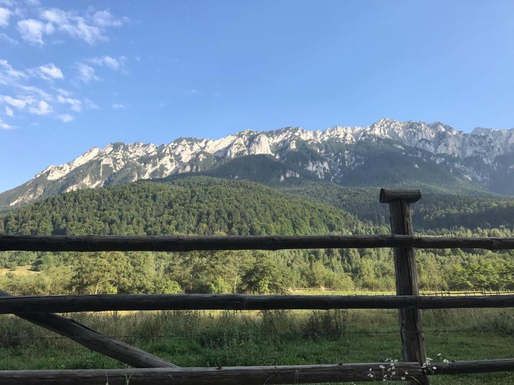 Pensiunea Kyfana