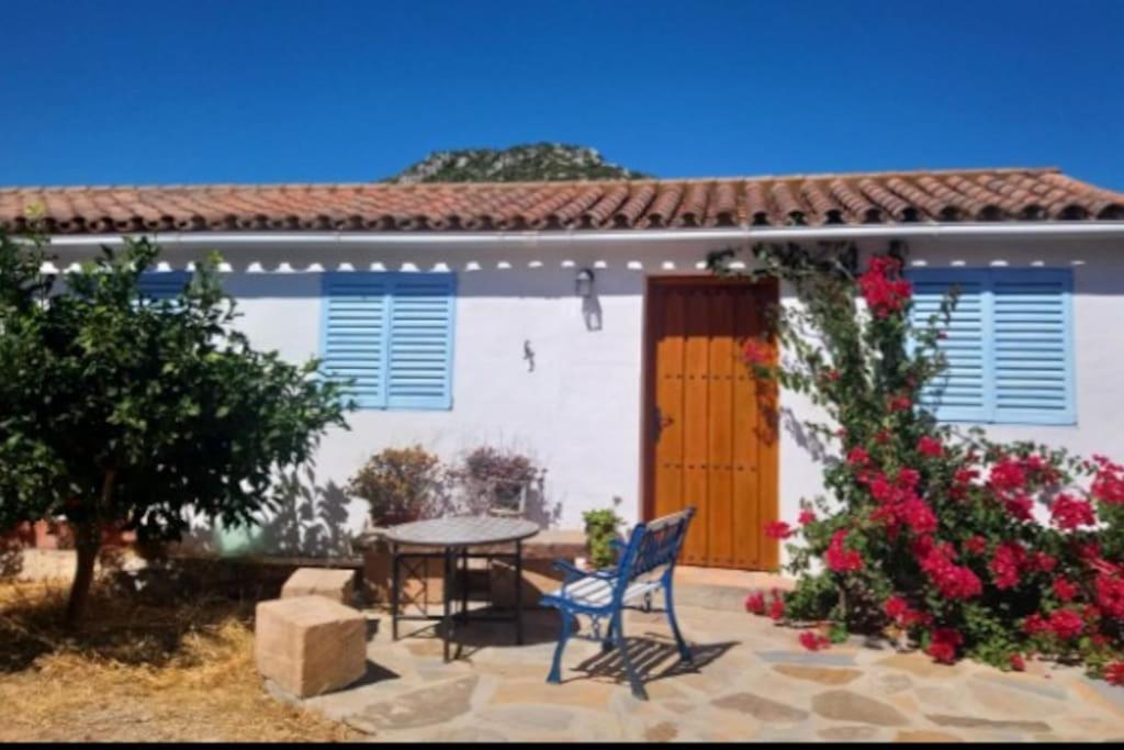 Andalusian country cottage.
