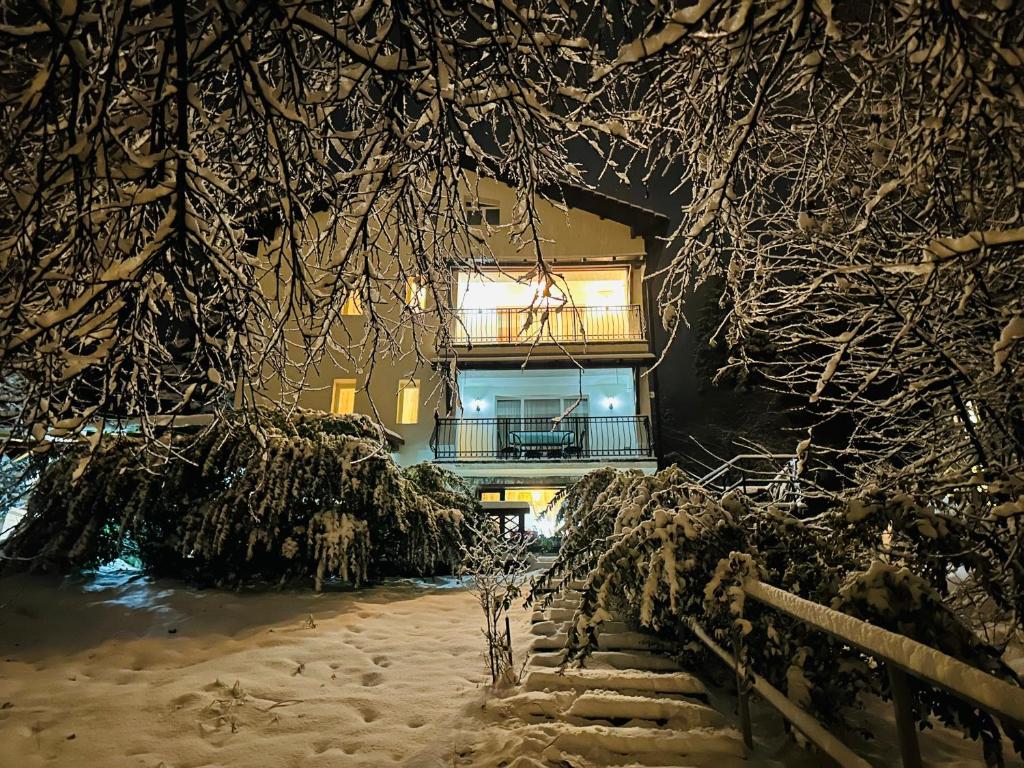 Iepurasul Sinaia