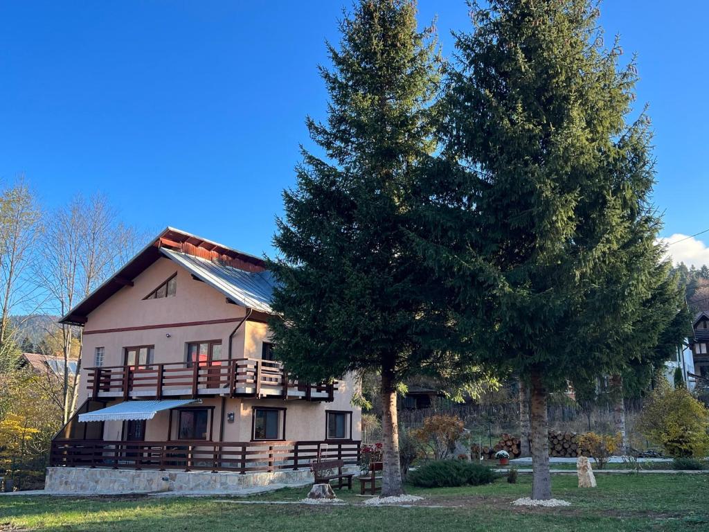 The View Sinaia-Busteni